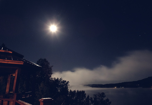 the fog and the moon